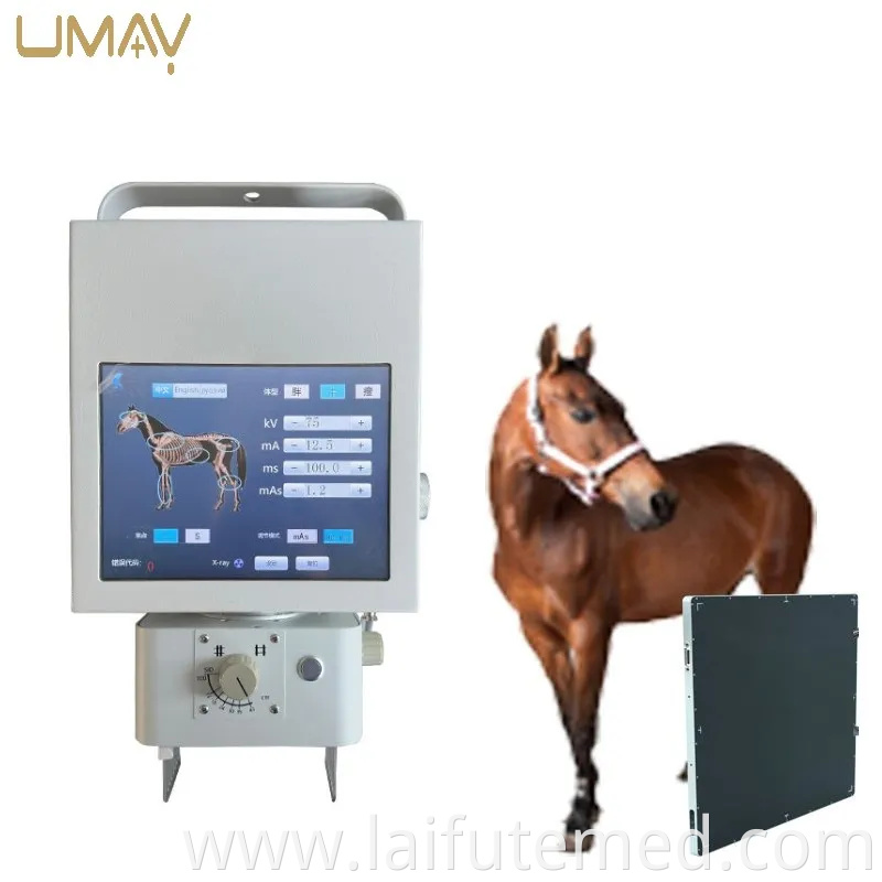 Advanced Veterinary Pet X Ray Machine for Diagnostic Imaging Needs